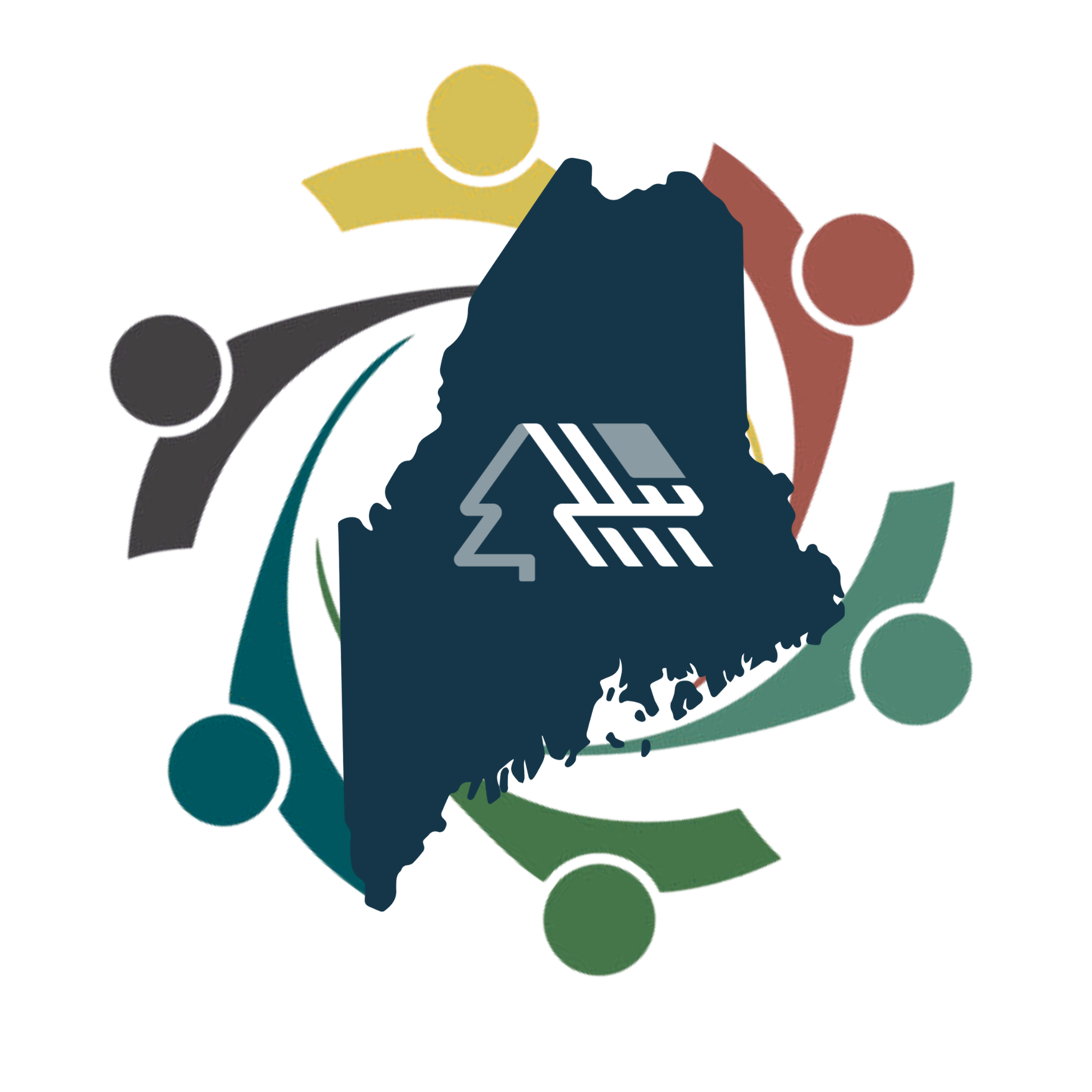 logo for the Volunteer Leadership Conference