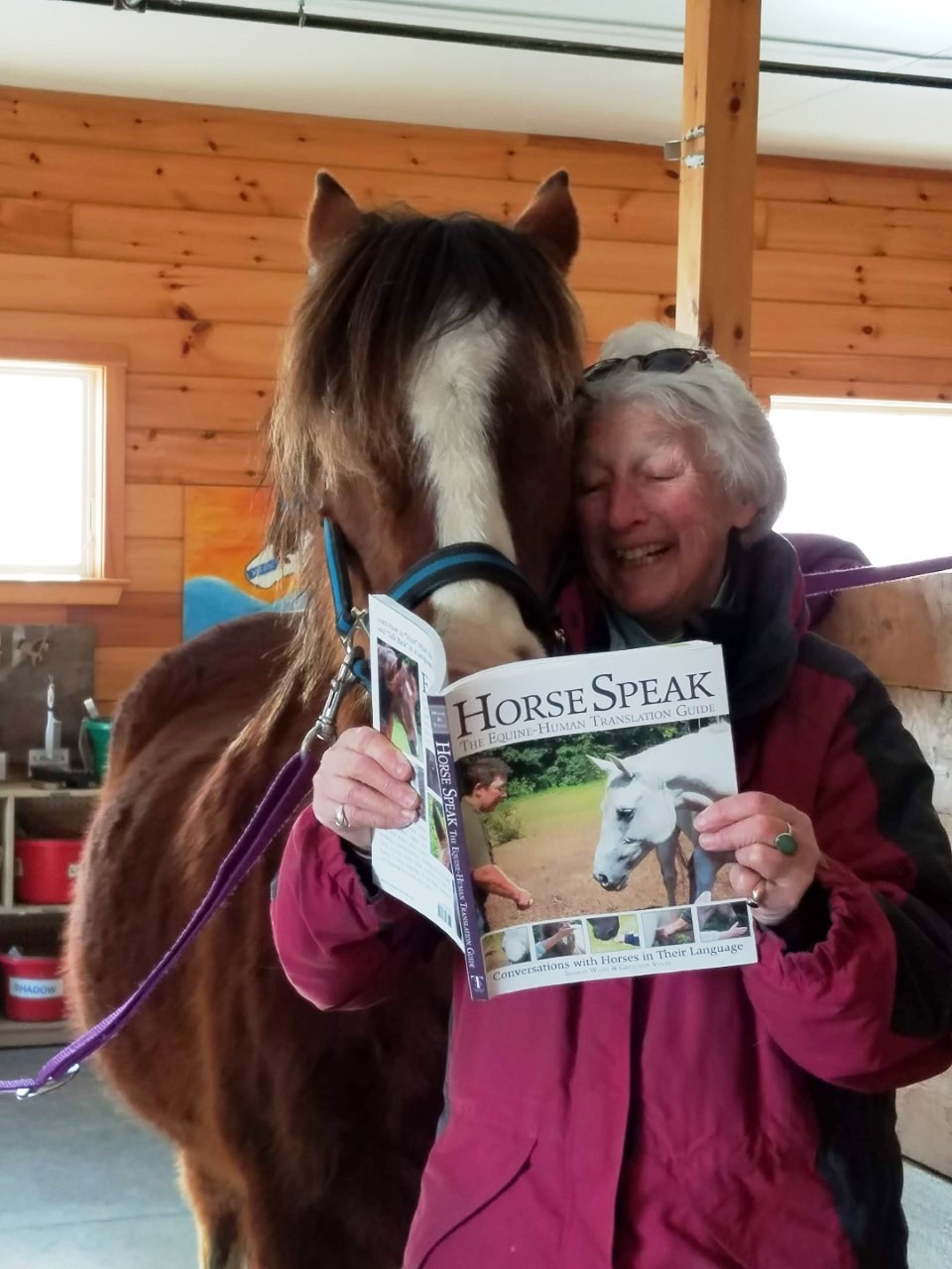 Pat Niboli poses for a picture while reading during her volunteer service with a horse inside horse stables